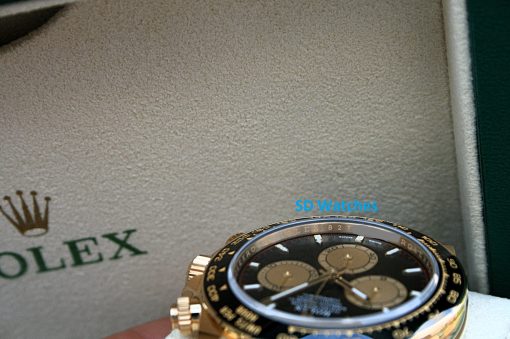 IMG_1069 | SD Watches