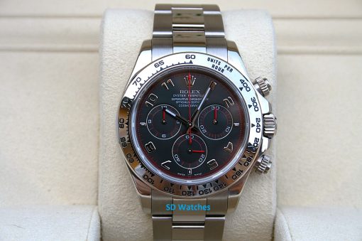 Rolex 116509 daytona | SD Watches