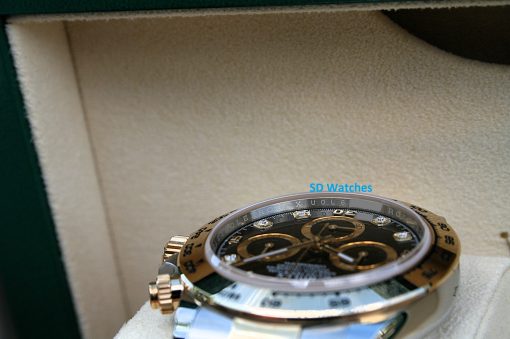 IMG_6684 | SD Watches Close-up of a Rolex-style chronograph watch in a beige display box, with blue 'SD Watches' watermark.